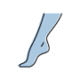 Voeten