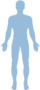 Lichaam